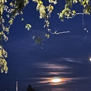 Meet your Posher, Annie